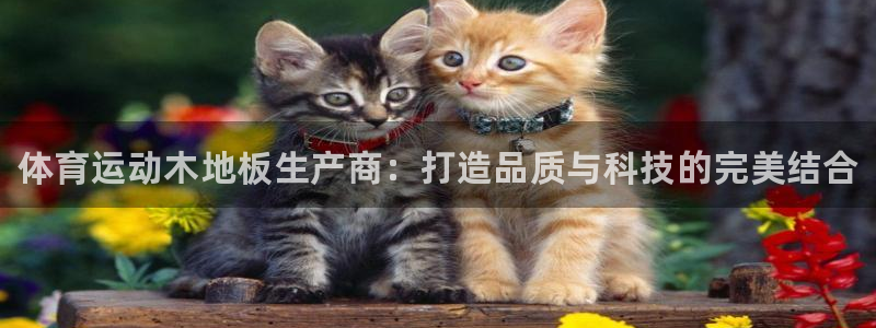 vsport体育官网下载平台是正规平台吗知乎：体育运动木地板