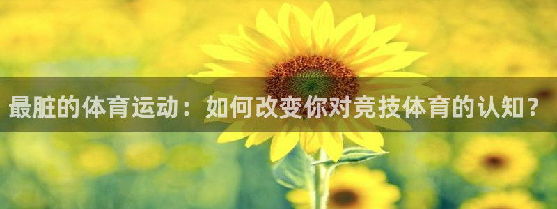 vsport体育官网下载平台是正规平台吗知乎：最脏的体育运动