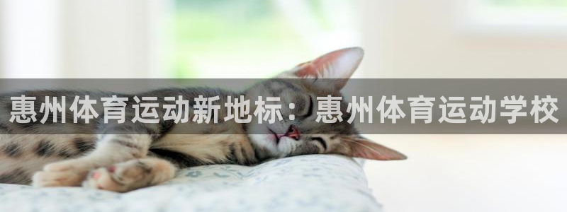 vsport体育官方正版app娱乐：惠州体育运动新地标：惠州