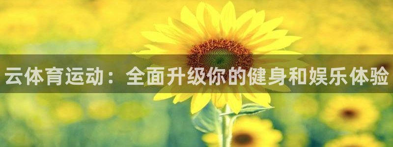 vsport体育官方正版app集团官网网址：云体育运动：全面
