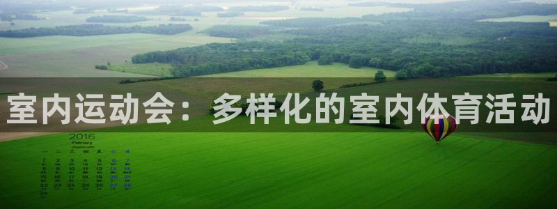 vsport体育官方正版app官方：室内运动会：多样化的室内
