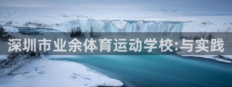 vsport体育官网下载平台：深圳市业余体育运动学校:与实践