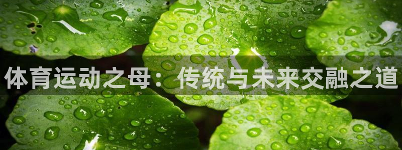 vsport体育官方正版app娱乐代理怎么样：体育运动之母：