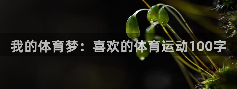 vsport体育官方正版app五金厂：我的体育梦：喜欢的体育