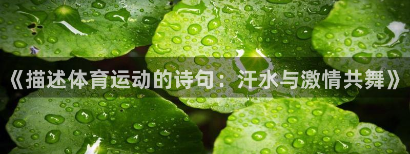 vsport体育官方集团官网：《描述体育运动的诗句：汗水与激