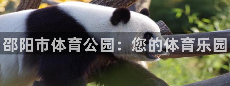 vsport体育官网下载招商电话是多少