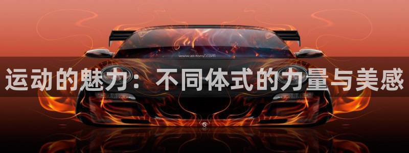 vsport体育官方正版app集团logo：运动的魅力：不同