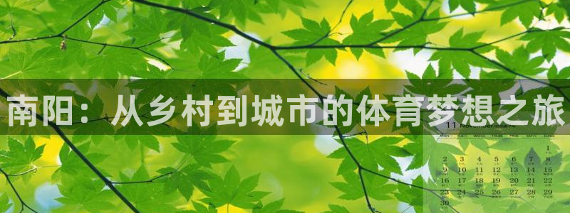 vsport体育官方正版app集团官网首页：南阳：从