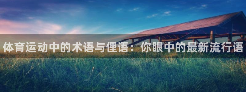 vsport体育官方正版app娱乐首页网站大全：体育