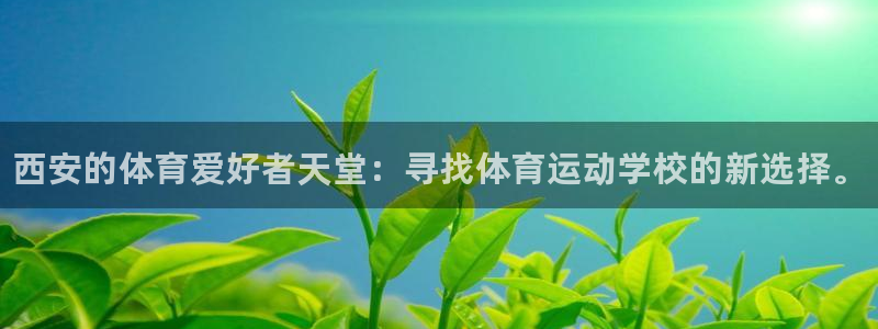 vsport体育官方正版app集团简介：西安的体育爱