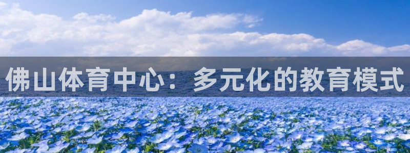 vsport体育官方正版app官网：佛山体育中心：多