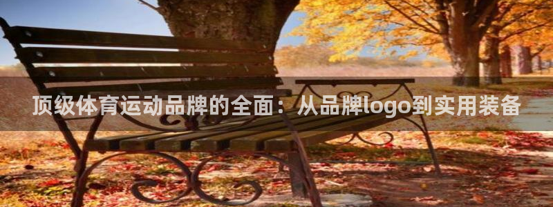 vsport体育官方正版app娱乐40996