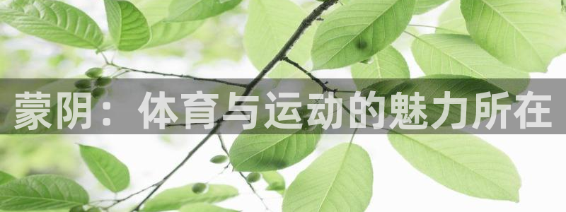 vsport体育官方平台体育：蒙阴：体育与运动的魅力