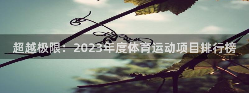 海南vsport体育官网下载