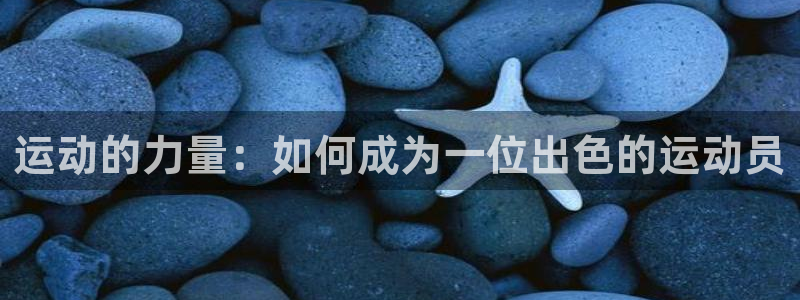 海南vsport体育官网下载:运动的力量:如何成为一位出色的