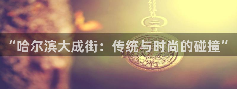 vsport体育官方正版app集团logo