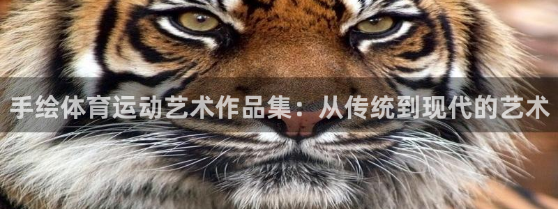vsport体育官方正版app集团:手绘体育运动艺术作品集: