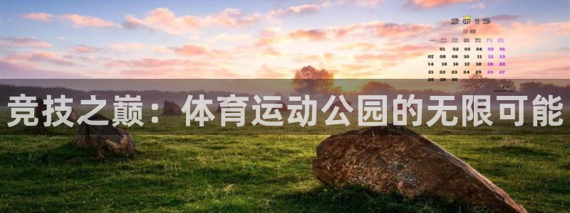 vsport体育官方正版app科技:竞技之巅:体育运动公园的