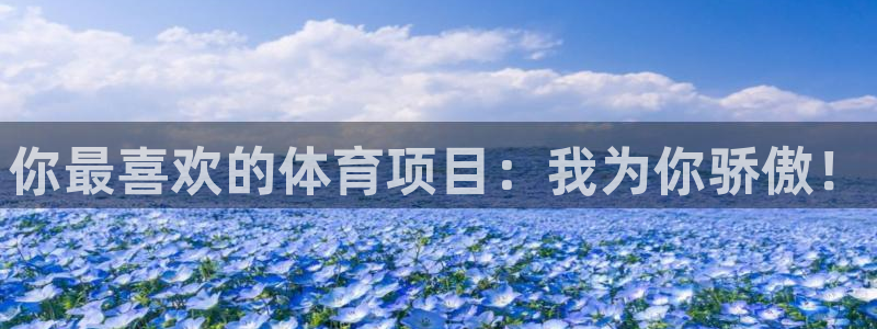 vsport体育官网下载招商电话地址:你最喜欢的体育项目:我